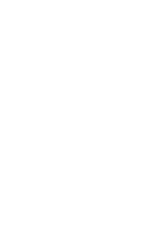nanozord