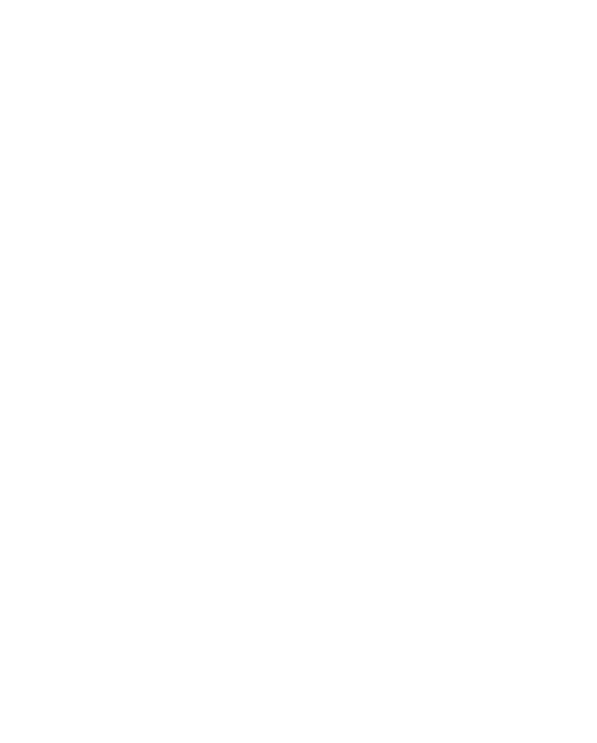 mikro robocik nanozord